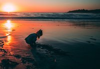 girl at sunset on beach.jpg