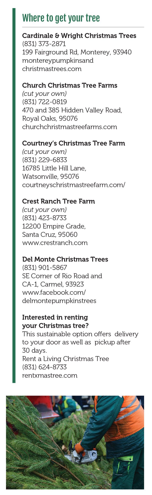 where to get your tree.png