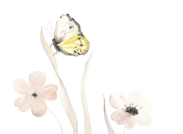 watercolor flowers butterfly.png