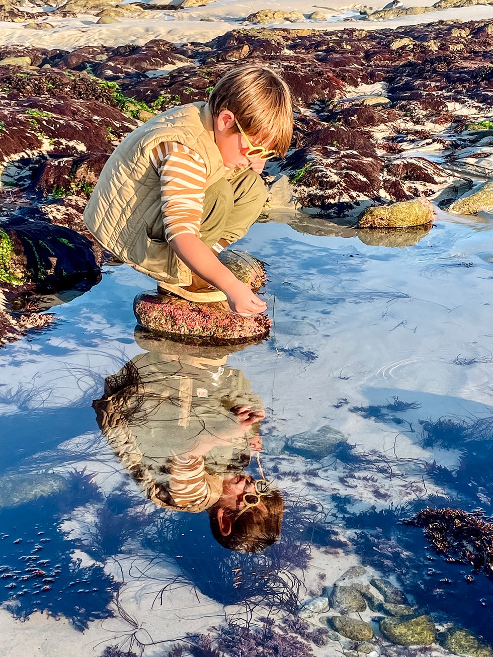 archie tide pooll.png
