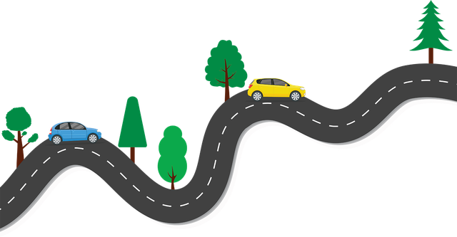 road with cars.png
